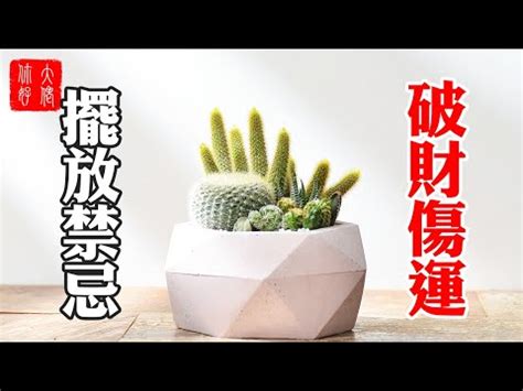 門口種仙人掌